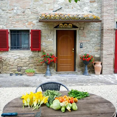 Casa Donella * Gricignano